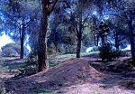 DSC_4419a.jpg