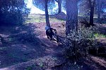 DSC_4380a.jpg