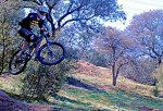DSC_4402a.jpg