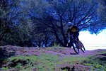 DSC_4427a.jpg