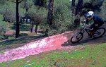 DSC_4421a.jpg