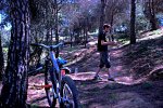 DSC_4457a.jpg
