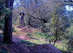 DSC_4401a.jpg