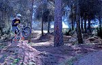 DSC_4409a.jpg