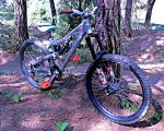DSC_4439a.jpg