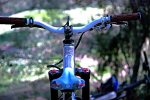 DSC_4458a.jpg