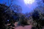 DSC_4355a.jpg