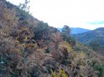 30102010673.jpg