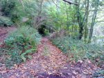 DSC09586.jpg