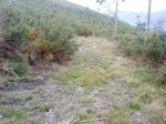 DSC09590.jpg