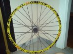 DSC01432.jpg