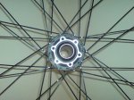 DSC01440.jpg