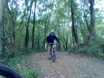 31102010088.jpg