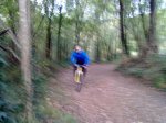 31102010087.jpg