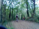 31102010089.jpg