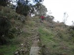 IMG_8270.jpg