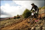 D30_3085_2374_2646.JPG