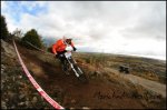 D30_2775_2297_2569.JPG