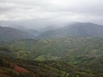 P1010876.jpg