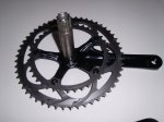 SL271750.jpg