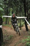 DSC_6706.JPG