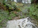 CAMINO CORTADO.JPG