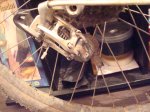 DSC02220.jpg
