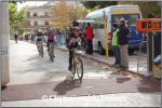 elche (2).jpg