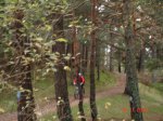 DSC00385.JPG