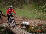 DSC00387.JPG