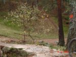 DSC00390.JPG