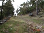 DSC00394.JPG