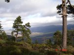 DSC00397.JPG