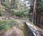 P0000031_redimensionar.JPG