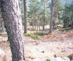 P0000032_redimensionar.JPG