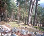 P0000033_redimensionar.JPG