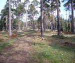 P0000041_redimensionar.JPG