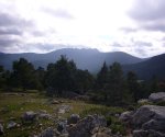 P0000047_redimensionar.JPG