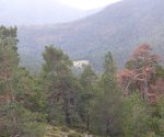P0000052_redimensionar.JPG