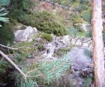 P0000063_redimensionar.JPG