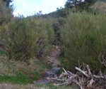 P0000068_redimensionar.JPG