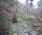 P0000074_redimensionar.JPG