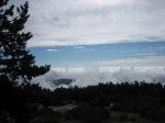 IMG_0686_resize.jpg