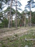 IMG_0700_resize.jpg