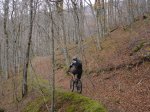 DSC04424.JPG
