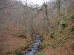 DSC04425.JPG