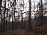 DSC04428.JPG