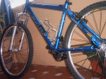 PICT0216.gif