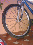 PICT0218.gif