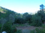 DSCN9074.jpg